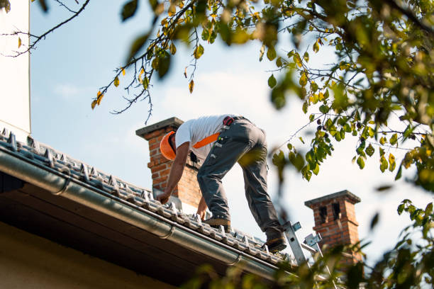 Quick and Trustworthy Emergency Roof Repair Services in Buies Creek, NC