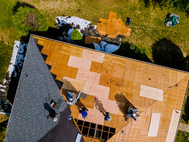 Best Metal Roofing Contractor  in Buies Creek, NC