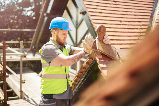 Best Roof Gutter Cleaning  in Buies Creek, NC